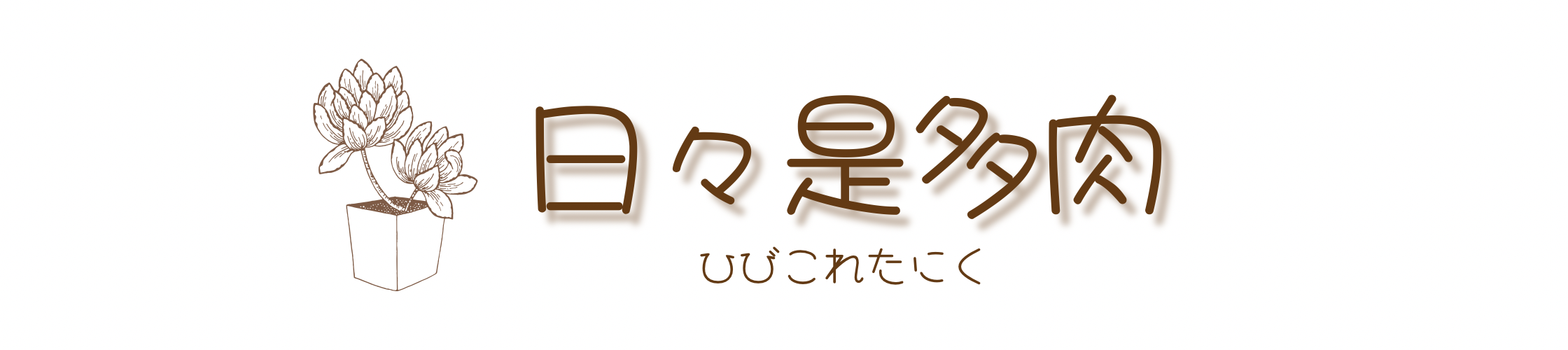 日々是多肉